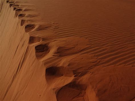 Free Images Landscape Nature Sand Sky Wood Arid Desert Dune