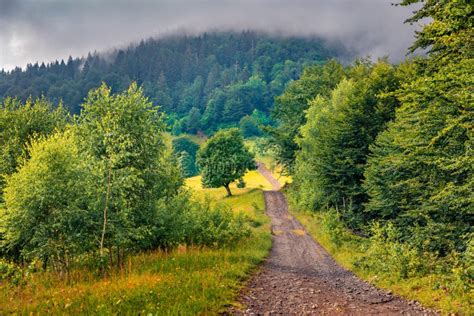 Old Country Road In The Foggy Mountain Attractive Summer Scene Of