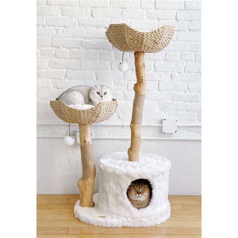 Mau Modern Cat Tree Tower For Large Cats Real Branch Luxury Cat Condo