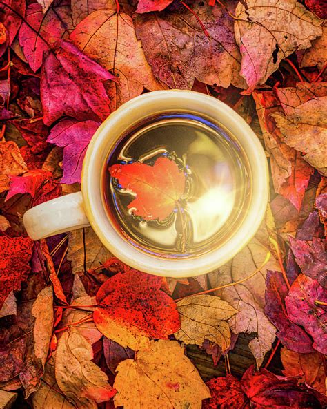 Hot Coffee And Autumn Leaves Photograph By Bob Orsillo Fine Art America