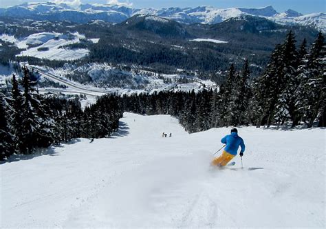 Mt Washington Ski Resort Bc Review