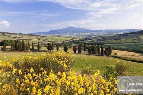 Tuscan Landscape With Monte Stock Photo
