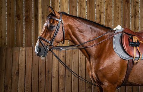 Dyon Working Collection Full Leather Draw Reins Sederholm