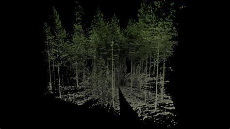 Forest Plot Scanned With A Terrestrial Lidar 3d Model By Jules Morel