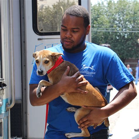 Individual, group, marriage and family counseling is offered in addition to referral and connection to other va or community benefits and services. 39 Dogs and Puppies Rescued from Overcrowded Shelters in ...