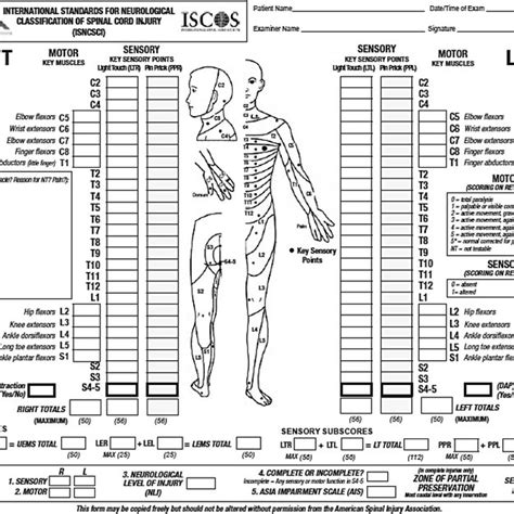 Asia Criteria Reproduced With Permission From The American Spinal