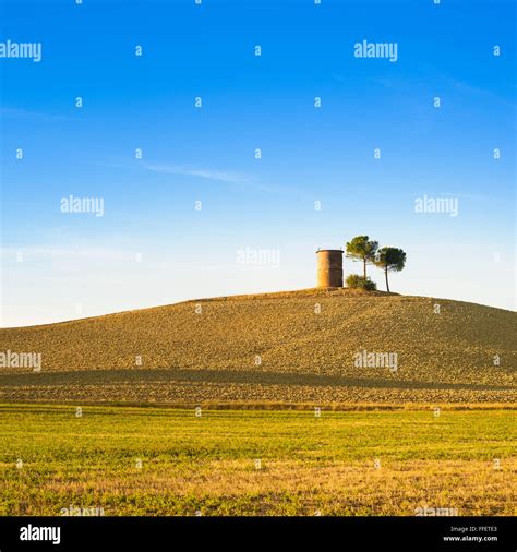 Tuscany Maremma Typical Countryside Sunset Landscape With Hill Tree