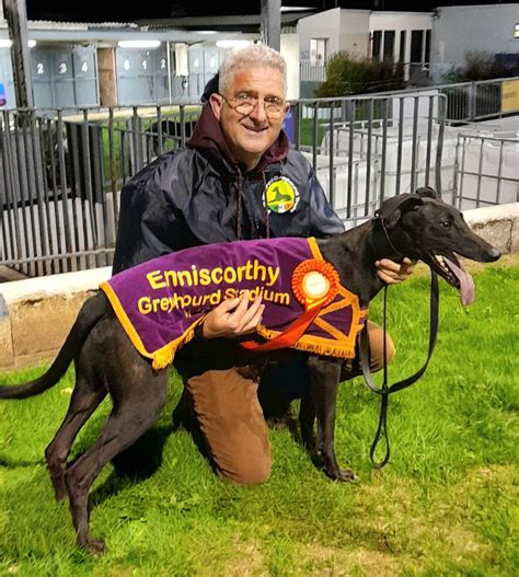 The semi finals of the A3 Tri... - Greyhound Racing Ireland