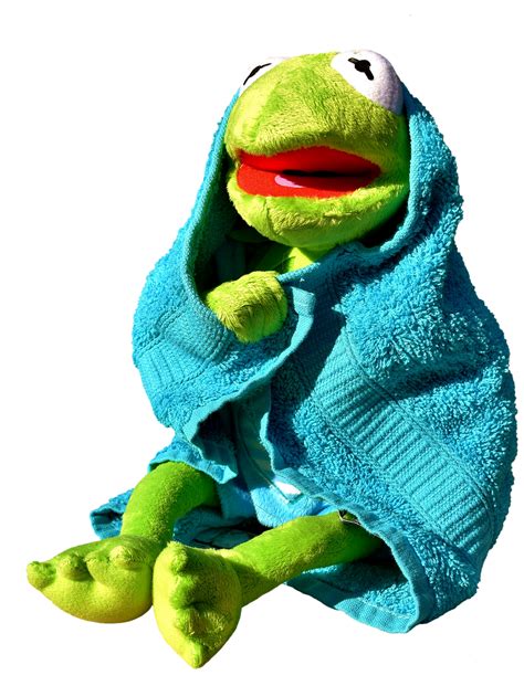 0 Result Images Of Kermit The Frog Meme Png Png Image Collection