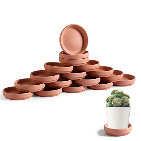 Choose The Best Terra Cotta Plant Saucers For Your Garden