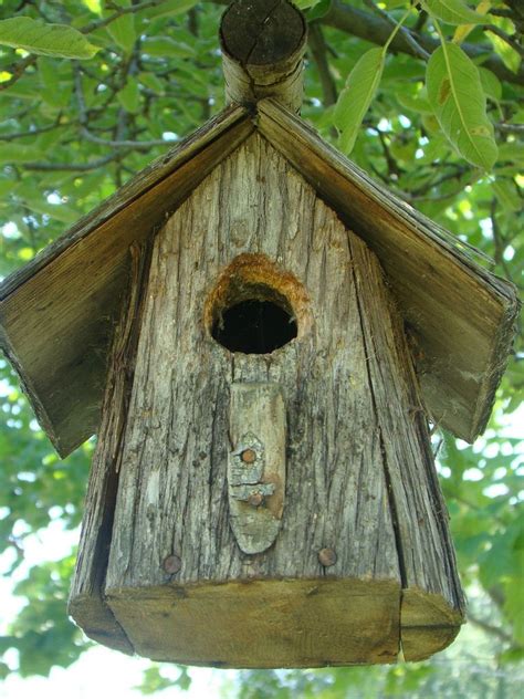 Building birdhouses is easy if you have cut the wooden pieces at the right dimensions and use the right plans and techniques. Smarten Up Your Garden with Stylish Bird House | Bird ...