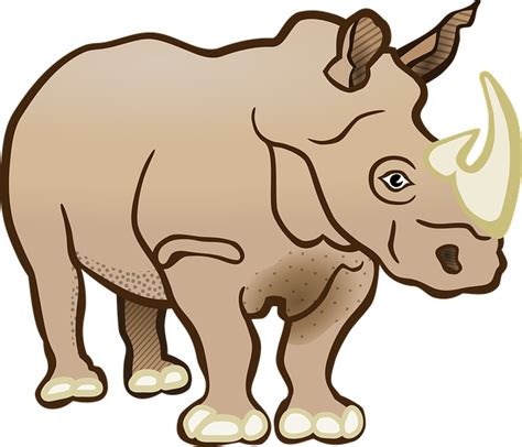 Rhino Rhinoceros Mammal Free Vector Graphic On Pixabay