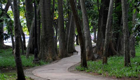 Taman Kota 1, Ruang Rekerasi Hijau di Tangerang Selatan | Area Tangsel