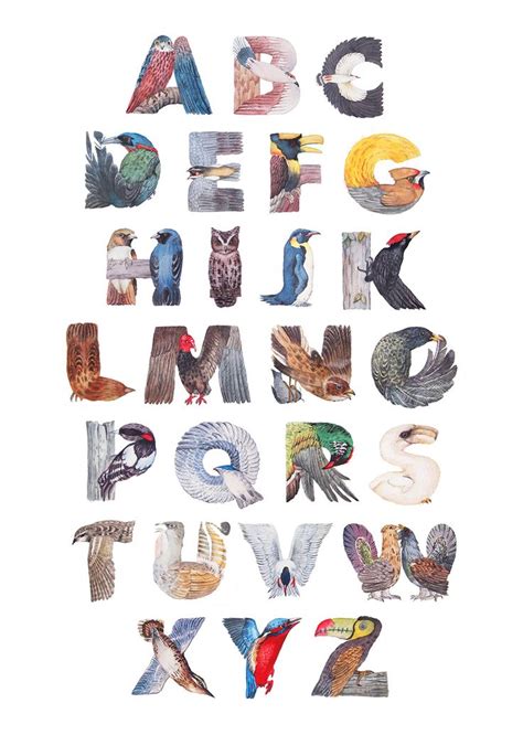 Bird Alphabet Typografie Alphabet Alphabet Design Alphabet Poster