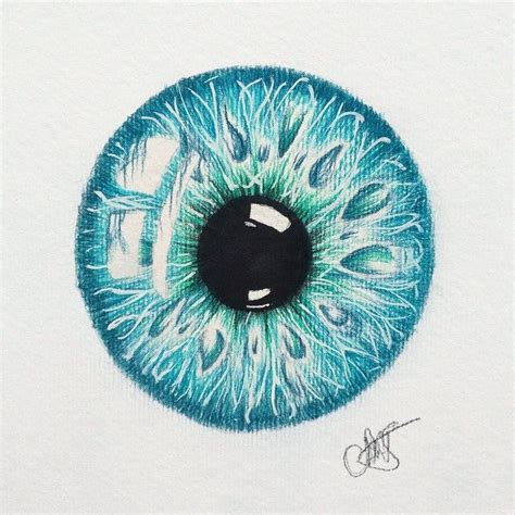 The 25 Best Iris Drawing Ideas On Pinterest Drawing Techniques Eye