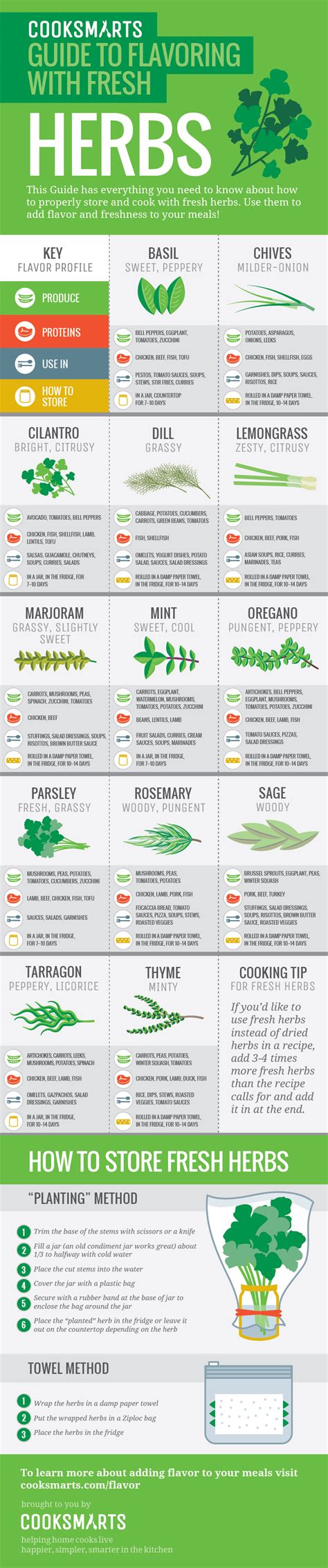 Guide To Flavoring With Fresh Herbs Visually