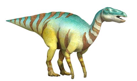 Edmontosaurus Dinopedia The Dino Dan Wiki Fandom Powered By Wikia