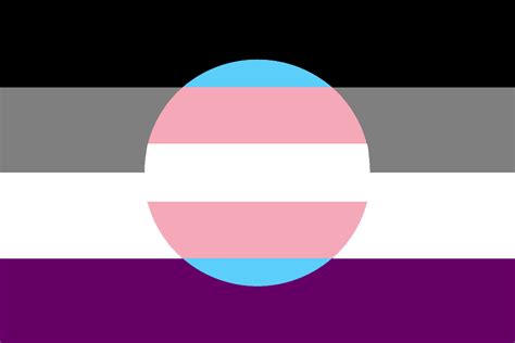 Ace Flag With Trans Insert Rqueervexillology