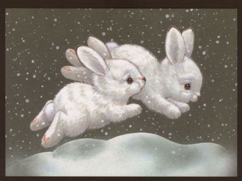 Bouncing Bunny Rabbits Play In Snow Morehead White Hares Christmas