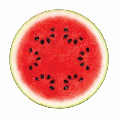 Watermelon Benefits Health Melon Water Fruits Transparent