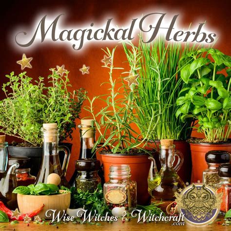 Magickal Herbs 1080x1080