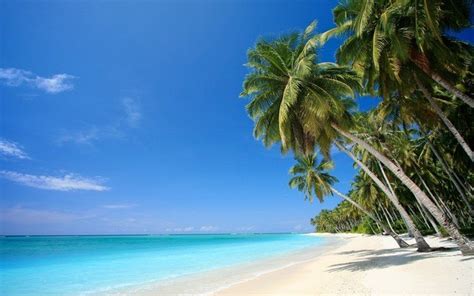 Relaxing Tropical Beach Wallpaper Download Tropical Hd