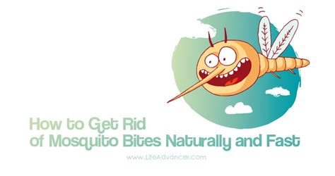 How To Get Rid Of Mosquito Bites Naturally And Fast