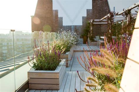 16 Delightful Modern Landscape Ideas That Will Update Your Garden
