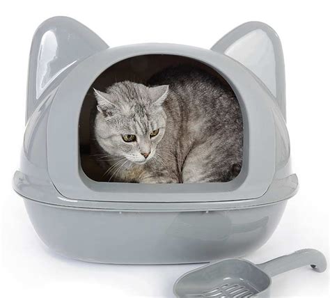 Tidy cats clumping litter offers uncompromising odor control. Best Cat Litter Box For Odor Control - Choosing A No Smell ...