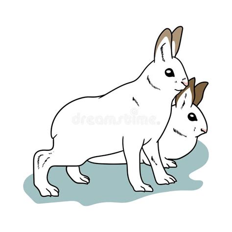 Snow Bunny Illustration Stock Vector Illustration Of Vector 244423104