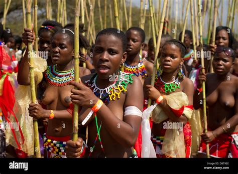 Zulu Maidens Deliver Reed Sticks To The King Zulu Reed Dance At Enyokeni Palace Nongoma South