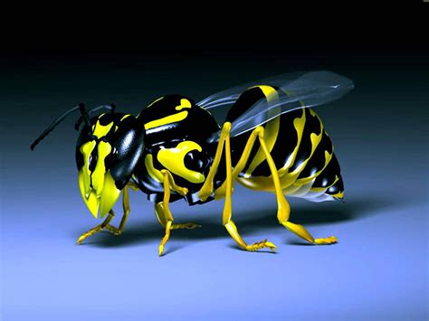 Check spelling or type a new query. 3D Wallpapers HD: 3D Wallpapers HD
