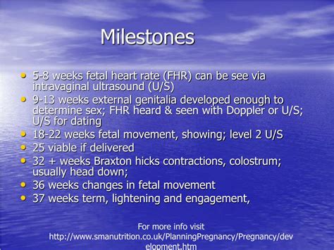 Ppt Holistic Approach To Pregnancy Powerpoint Presentation Id660682
