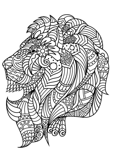 Free Book Lion Lions Adult Coloring Pages