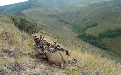 Early Season Mule Deer Hunting Tactics Western Hunter