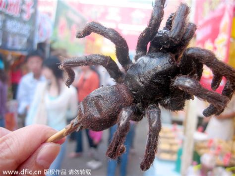 Weird Chinese Foods Dare To Try 7 Cn