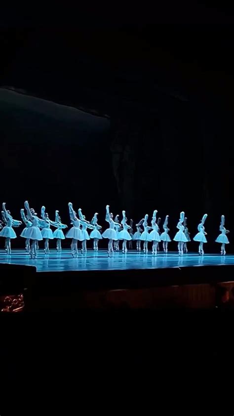 Mariinsky Theatres Corps De Ballet In La Bayadere In 2022 Dance