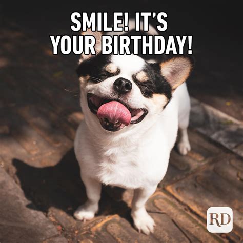 Happy Face Meme Funny Super Happy Face Memes Funny Happy Birthday Images And Photos Finder