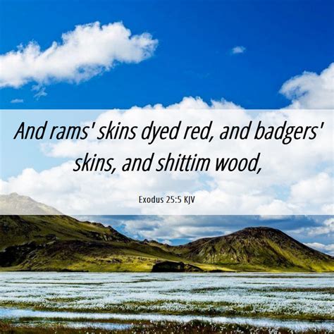 Exodus 255 Kjv And Rams Skins Dyed Red And Badgers Skins And
