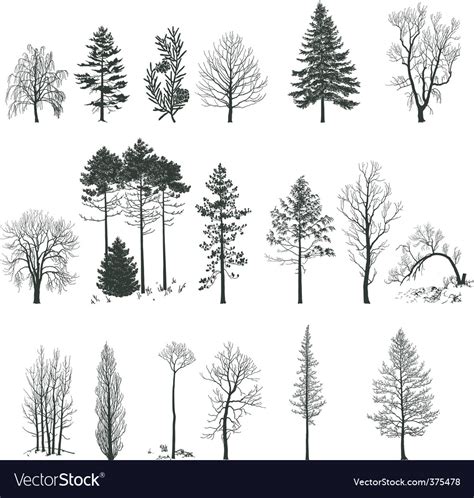Tree Silhouette Collection Royalty Free Vector Image