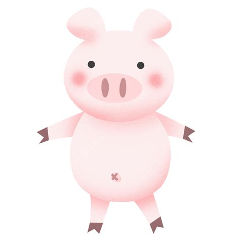 Pig Illustration Png Picture Pig Year Animal Pig Cartoon Cute