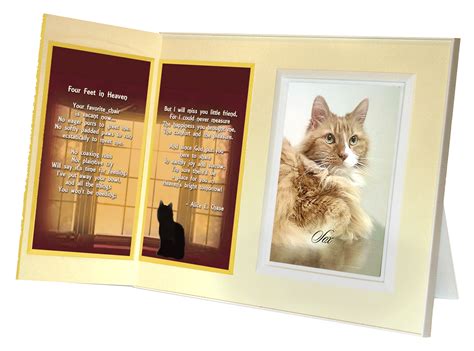 Cat Lover Remembrance T Four Feet In Heaven Memorial Pet Loss P