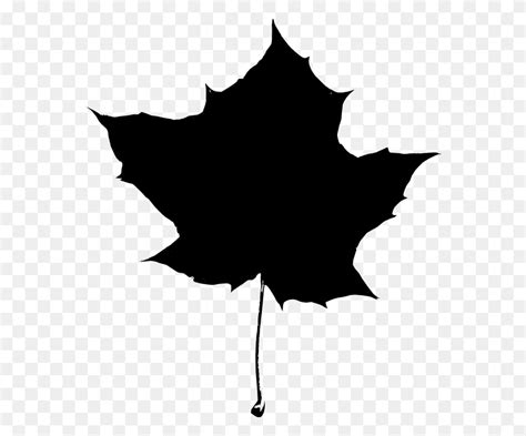 Maple Leaf Clipart Black And White Maple Tree Clipart Flyclipart