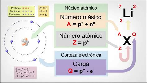 Qué es Número Atómico Su Definición y Significado