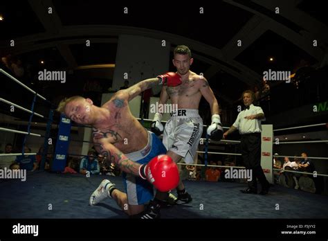A Professional Boxer Is Knocked Out And Falls To The Canvas Stock Photo