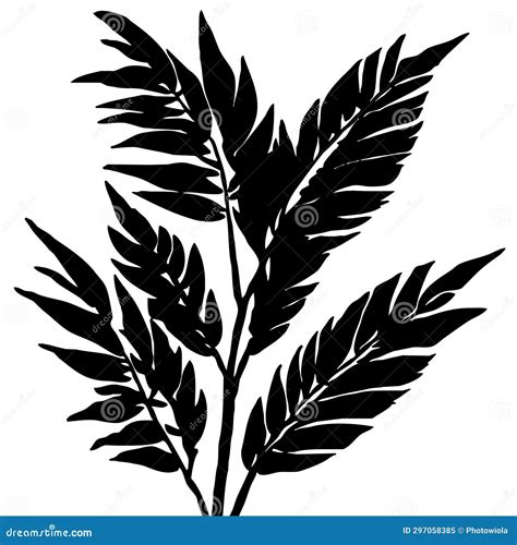 Black And White Botanical Pattern For Use In Graphics Materials