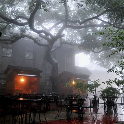 Morning Fog Beautiful Places Dark Aesthetic Places