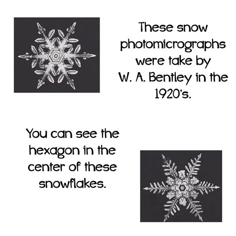 The Science And Art Of Snowflakes Expressive Monkey