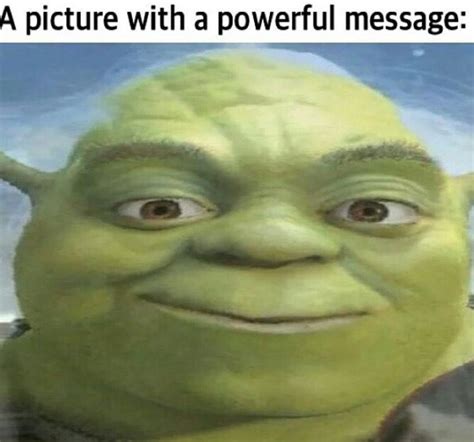 Doing In My Swamp What Are You Shrek Stupid Funny Memes