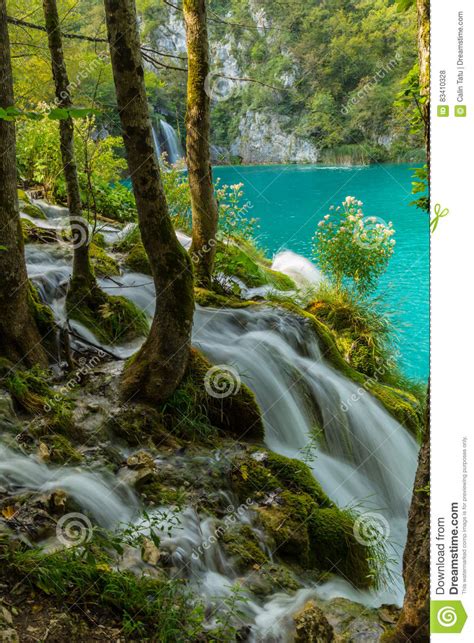 Blue Green Crystal Clear Lakes In Plitvice Croatia On A Bright Sunny